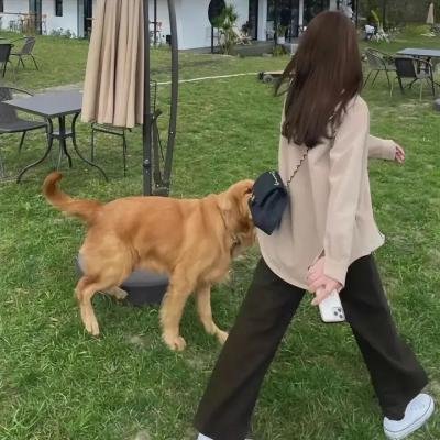 圣克莱尔 在线观看封面